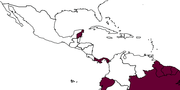 map of Anisepyris ilmarei     Barbosa & Azevedo, 2018